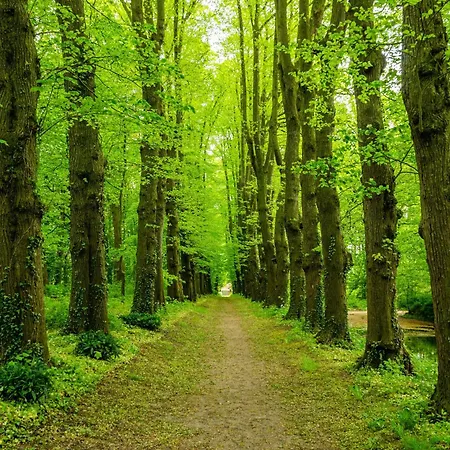 Huus Ant Dörpsdiek Semesterbostad